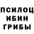 Галлюциногенные грибы GOLDEN TEACHER BEVERLY CHESTER